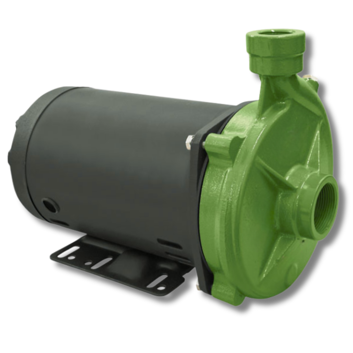 Motobomba BCG-148 - Imagem 5