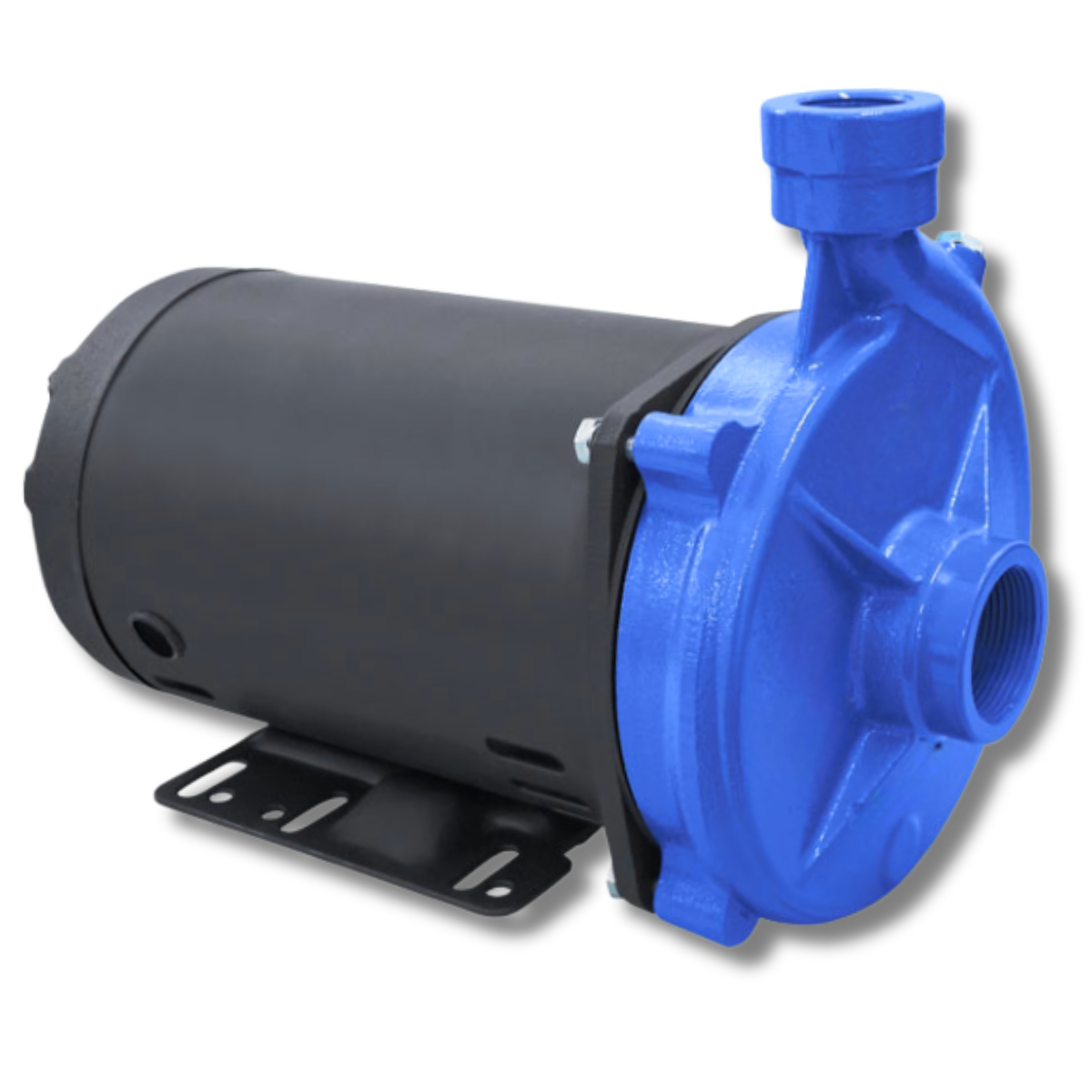 Motobomba BCG-148 - Imagem 2