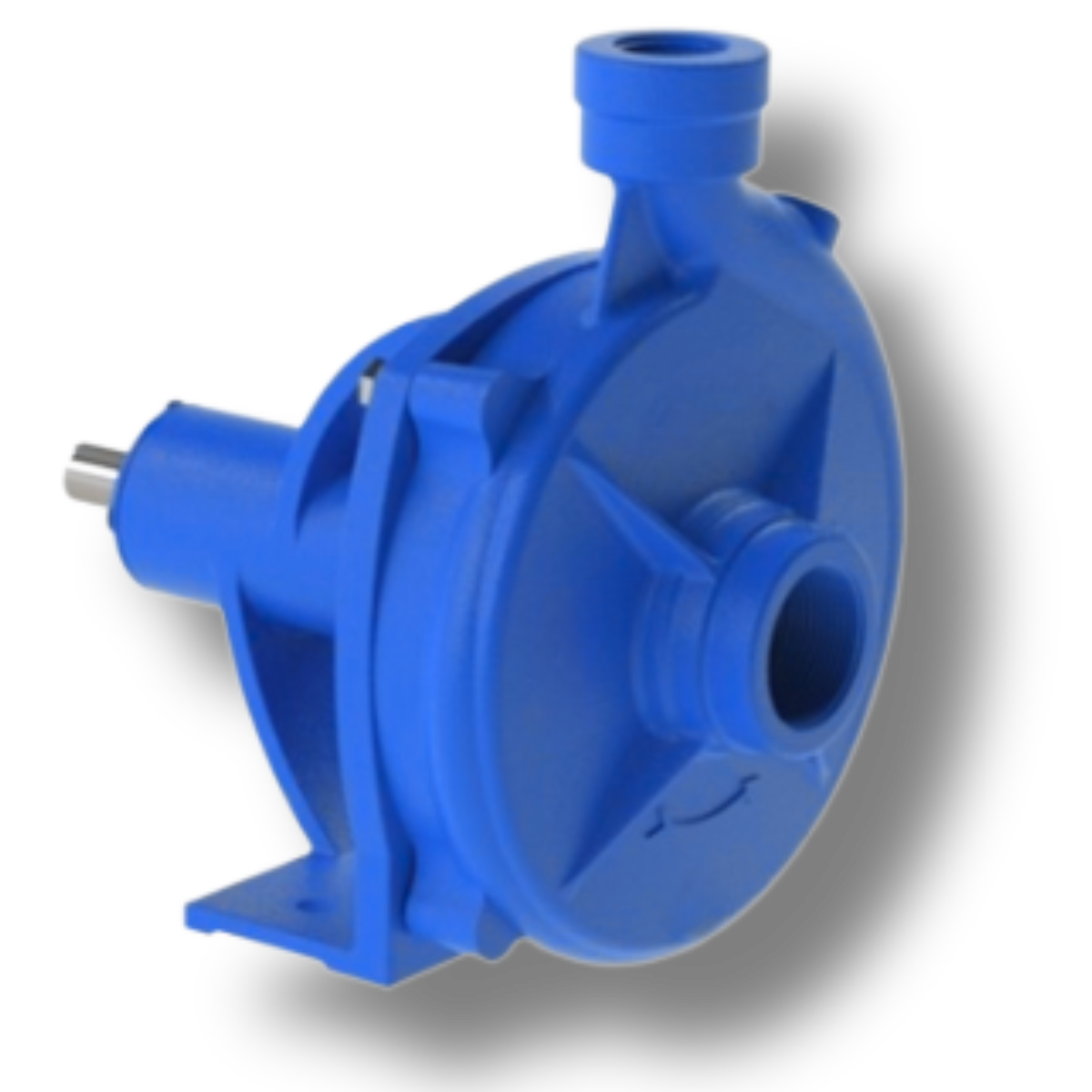 Motobomba BCG-148 - Imagem 3