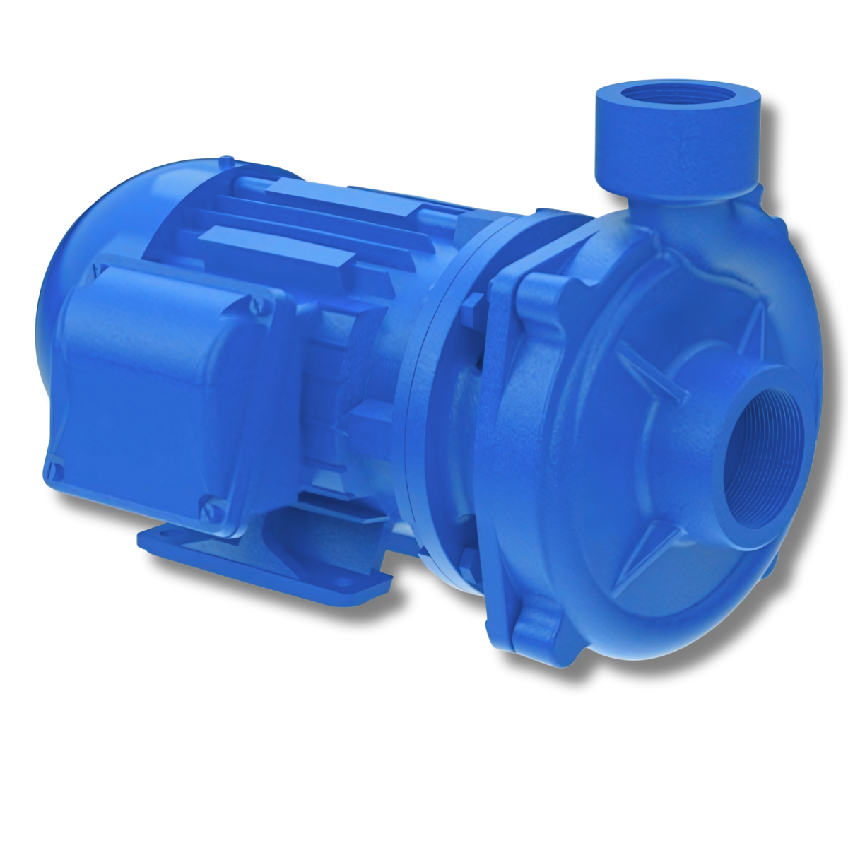 Motobombas BCM-260 - Imagem 2