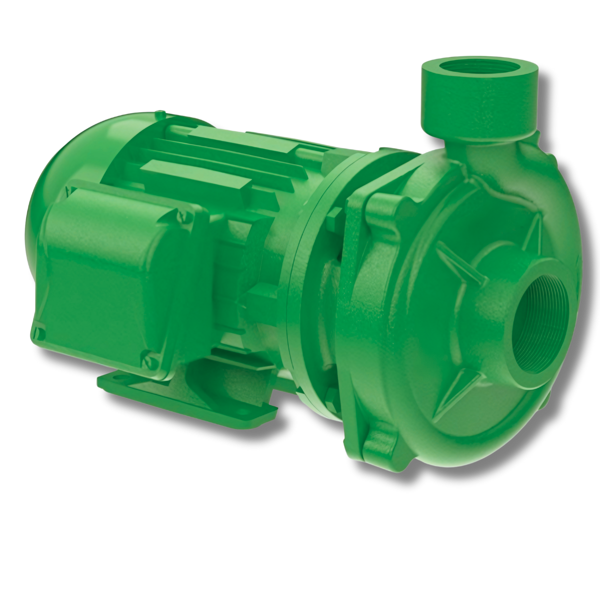 Motobombas BCM-260 - Imagem 5